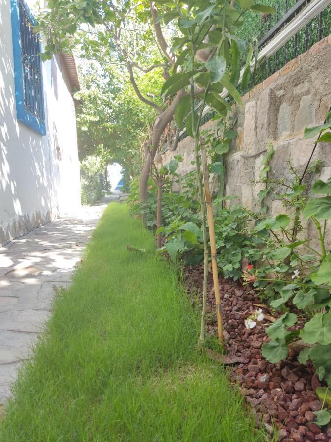 Apart Turgutreis Ngoại thất bức ảnh