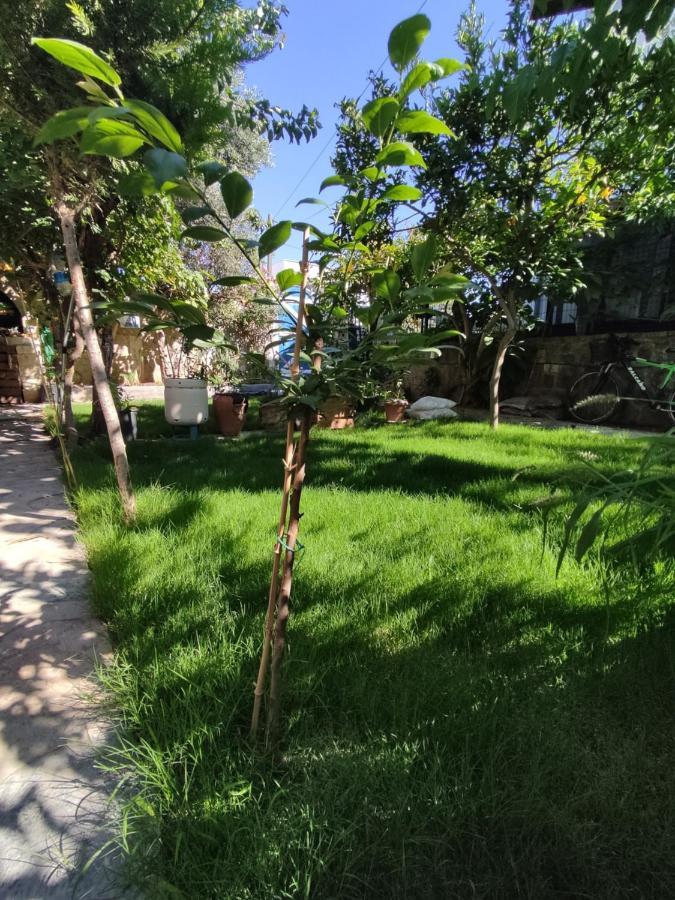 Apart Turgutreis Ngoại thất bức ảnh