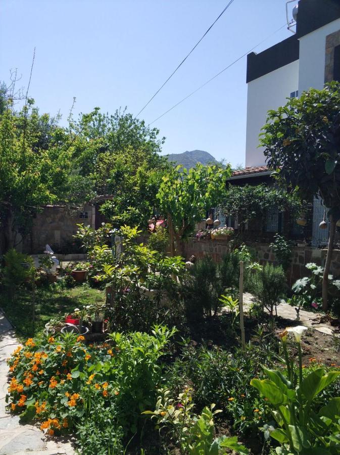 Apart Turgutreis Ngoại thất bức ảnh