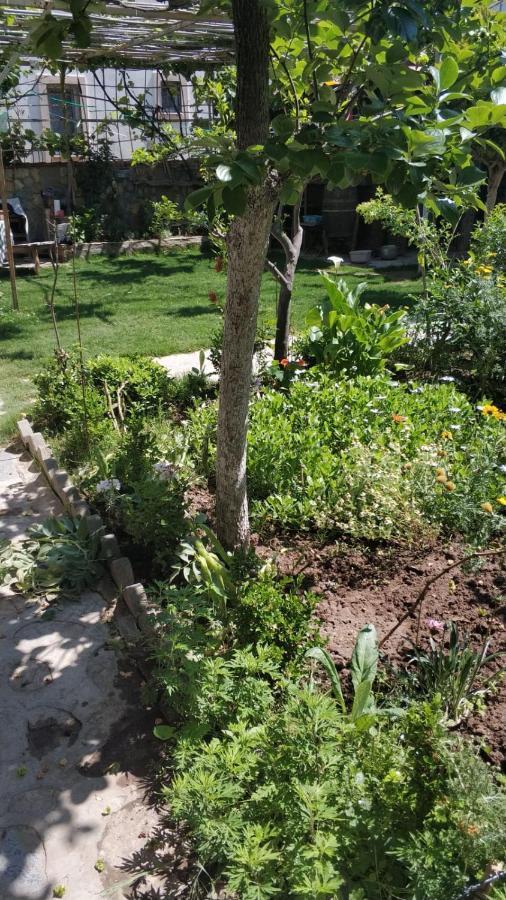 Apart Turgutreis Ngoại thất bức ảnh