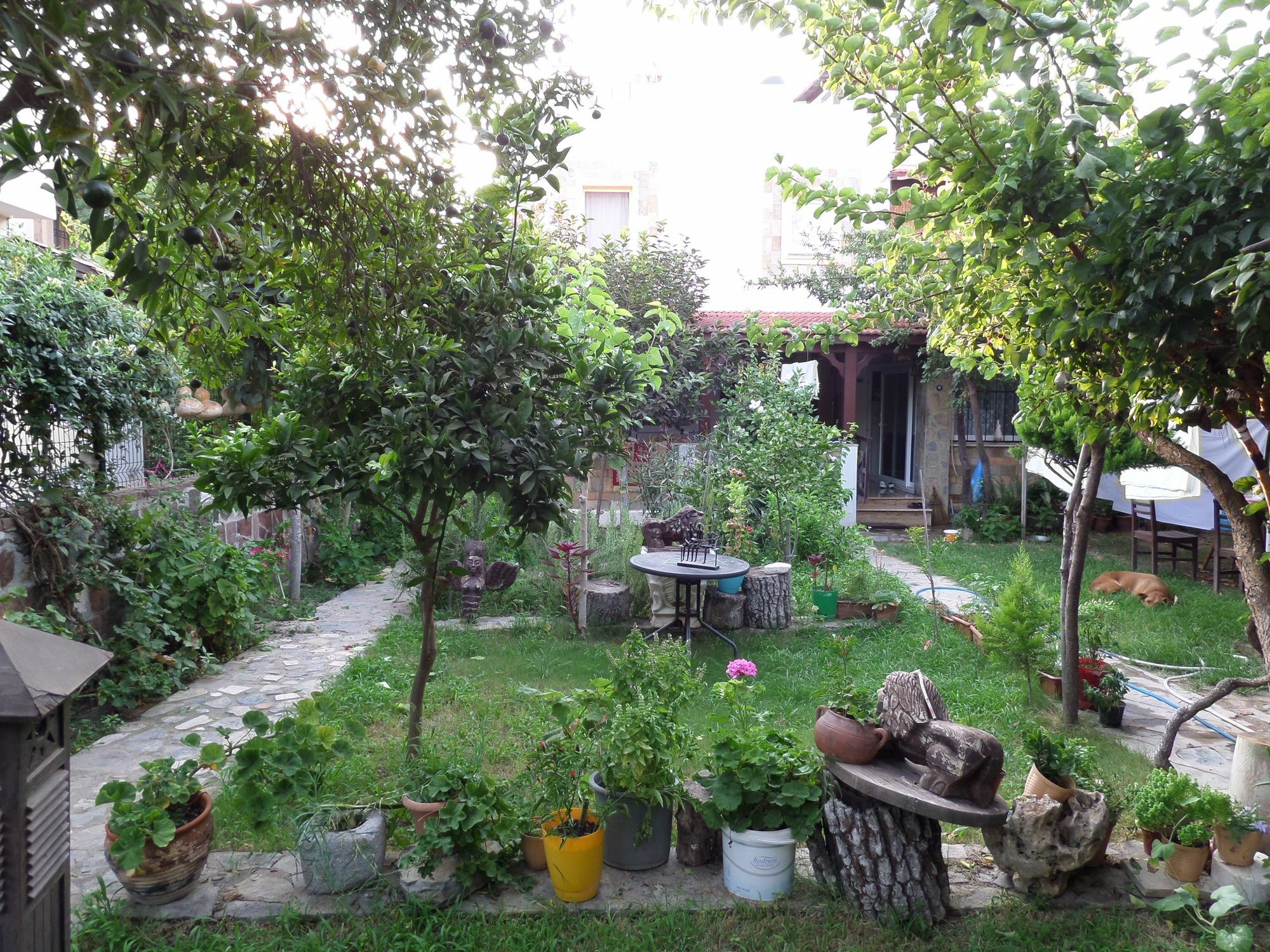 Apart Turgutreis Ngoại thất bức ảnh